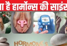मूड से लेकर भूख तक, ‘हार्मोन्स’ के इशारों पर नाचते हैं आप! बिगड़ा संतुलन तो पड़ सकते हैं लेने के देने