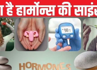 मूड से लेकर भूख तक, ‘हार्मोन्स’ के इशारों पर नाचते हैं आप! बिगड़ा संतुलन तो पड़ सकते हैं लेने के देने