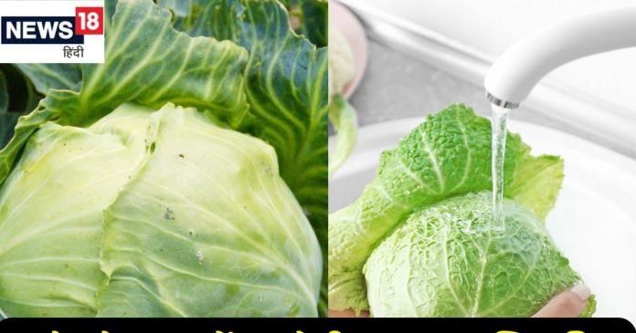 how-to-wash-cabbage-2025-01-6b8e5e48d9a9b261b05e3f1d7deadc28-16x9.jpg