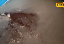 सबसे महंगे सिरकों में से एक है ये सिरका, हर बीमारी का कर सकता है इलाज, 3 महीने में हो पाता है तैयार