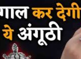 Kachua Ring: ये लोग न पहनें कछुआ की अंगूठी, नहीं तो व्यापार हो जाएगा ठप! जानें इसकी वजह
