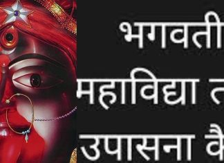 Goddess Tara Maa Sadhna: गुप्त नवरात्रि में मां तारा की साधना से पाएं प्रचुर धन-संपदा, जानें विधि और मंत्र