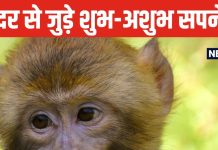 सपने में उछलता-कूदता दिखे बंदर, तो हो जाएं सतर्क, कहीं हो न जाए बड़ा नुकसान