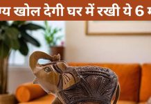 Vastu Tips: करोड़पति के घरों में जरूर होती हैं ये 6 मूर्तियां, आप भी रखकर देखें खुल जाएंगे किस्मत के ताले