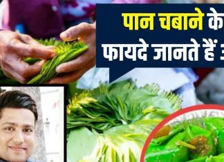 दवाइयों का बाप है ये हरा पत्ता, सेवन करने से 5 बीमारियों की हो जाएगी छुट्टी!