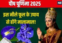 Paush Purnima 2025 Upay: पौष पूर्णिमा पर करें इस नीले फूल के उपाय, माता लक्ष्मी होंगी खुश, मिटेगी आर्थिक तंगी, धन से भरेगा घर!