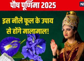 Paush Purnima 2025 Upay: पौष पूर्णिमा पर करें इस नीले फूल के उपाय, माता लक्ष्मी होंगी खुश, मिटेगी आर्थिक तंगी, धन से भरेगा घर!