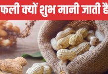 Lohri 2025: लोहड़ी पर क्यों बांटा जाता है मूंगफली का प्रसाद? दिल की सेहत से लेकर झुर्रियां तक, अनगिनत हैं फायदे