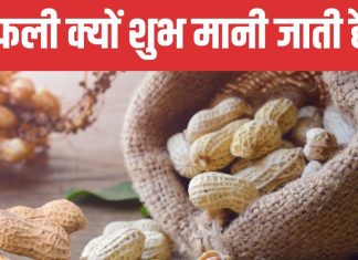 Lohri 2025: लोहड़ी पर क्यों बांटा जाता है मूंगफली का प्रसाद? दिल की सेहत से लेकर झुर्रियां तक, अनगिनत हैं फायदे