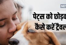 घूमने जाने का है प्लान और घर पर हैं पेट्स! करें ये उपाय