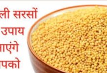 Yellow Mustard: पीली सरसों के इस टोटके से दूर होंगी समस्याएं, अमीर बनने के साथ आपके पक्ष में होगा भाग्य!