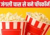 National Popcorn Day: हजारों साल पहले पॉपकॉर्न से होती थी सजावट, मंदी का दौर आते ही पलटी इनकी किस्मत