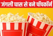 National Popcorn Day: हजारों साल पहले पॉपकॉर्न से होती थी सजावट, मंदी का दौर आते ही पलटी इनकी किस्मत