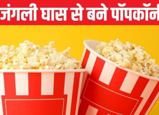National Popcorn Day: हजारों साल पहले पॉपकॉर्न से होती थी सजावट, मंदी का दौर आते ही पलटी इनकी किस्मत