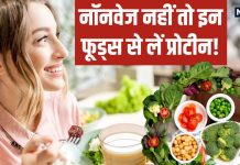 नॉनवेज नहीं खाते हैं तो क्या…इन 6 प्लांट बेस्ड फूड्स का शुरू करें सेवन, शरीर को मीट से ज्यादा मिलेगा प्रोटीन!
