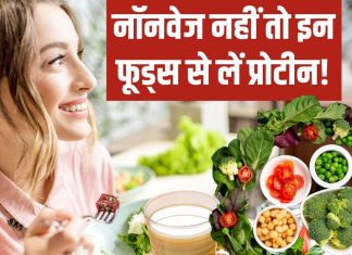 नॉनवेज नहीं खाते हैं तो क्या…इन 6 प्लांट बेस्ड फूड्स का शुरू करें सेवन, शरीर को मीट से ज्यादा मिलेगा प्रोटीन!