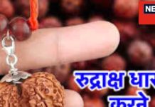 जन्म कुंडली के दोषों के लिए रुद्राक्ष धारण के उपाय
