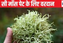 बेहद पावरफुल है यह समुद्री शैवाल, मर्दो के लिए खास फायदेमंद, थायरॉयड को करता है कंट्रोल