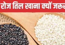 काले या सफेद कौन से तिल खाएं? महिलाओं के लिए सुपर फूड है तिल, पीरियड्स और मेनोपॉज में फायदेमंद
