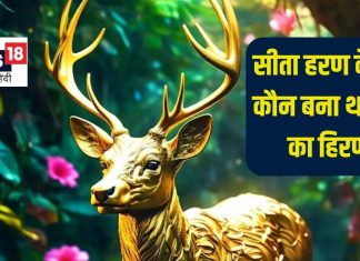 Ramayan Katha: रावण बना था सोने का हिरण या फिर कोई और? जिस वजह से हुआ सीता हरण, पढ़ें रामायण की कथा