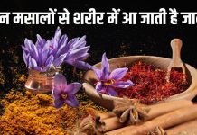 अधिकांश बीमारियों के लिए काल हैं ये 6 जड़ी-बूटियां, ढीली पड़ी नसों में भी ले आएगी जान, तत्काल करेगा असर