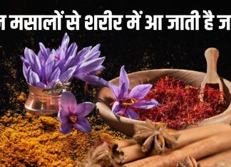 अधिकांश बीमारियों के लिए काल हैं ये 6 जड़ी-बूटियां, ढीली पड़ी नसों में भी ले आएगी जान, तत्काल करेगा असर