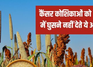 कभी था गरीबों का आहार, वह आज बन गया पोषक तत्वों का बाप, आपकी सोच से कहीं ज्यादा पावरफुल, डायबिटीज और कैंसर तक पर सीधा चोट