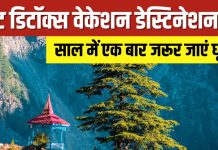 मानसिक रूप से खुद को करना है रीचार्ज? डिटॉक्स वेकेशन के लिए बेस्ट हैं ये 9 जगहें – Bharat.one हिंदी