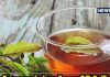 कई बीमारियों का जबरदस्त इलाज है इस पत्ते का काढ़ा, गैस ही नहीं… अंदर जमी कफ को भी खींचकर निकालेगा बाहर