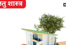 Vastu Tips: भूलकर भी छत पर न रखें यह 3 चीजें, पूरी तरह से रुक सकती है घर की बरकत