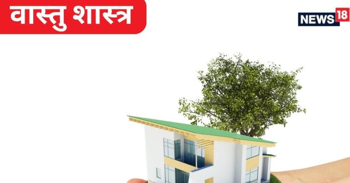 vastu-tips-2025-01-4e7b9cb526a2fa2efe9a2003fd3c2ace-16x9.jpg