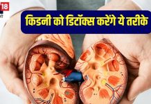 पेशाब करते समय होती है जलन? 7 तरीकों से किडनी को करें डिटॉक्स, यूरिन में नहीं आएगा ब्लड, स्वस्थ रहेंगे गुर्दे