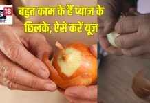 कचरा समझकर फेक देते हैं प्याज के छिलके, हेयर डाई से लेकर फर्टिलाइजर बनाने के आए काम, 10 तरीके से करें इस्तेमाल