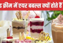 National Whipped Cream Day: वजन बढ़ने के डर से नहीं खाते व्हिप्ड क्रीम? इस एयर बबल फूड में नहीं होती कैलोरी, वीगन व्हिप्ड क्रीम को टेंशन फ्री खाएं