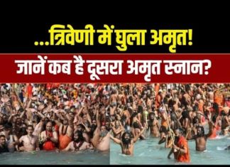 कब है दूसरा अमृत स्नान? मौनी अमावस्या पर जरूर करें ये उपाय – Bharat.one हिंदी