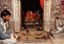 करणी माता मंदिर बीकानेर: रहस्यमयी चूहों का अद्भुत धाम