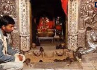 करणी माता मंदिर बीकानेर: रहस्यमयी चूहों का अद्भुत धाम