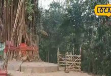 कौन हैं पीपल पेड़ पर बसने वाले बिहार के ब्रह्मबाबा, जिनकी घर-घर में है मान्यता? शुभ कार्यों में खास मान्यता