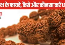 कौनसा रुद्राक्ष माना जाता है सबसे अच्छा? धारण करने से पहले जान लें सारे नियम, कहीं फायदे की जगह हो न जाए नुकसान