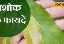 क्लेश-तंगी को खत्म कर देगा बरकत वाला ये पेड़…घर में होने लगेगी पैसों की बारिश, रोगों से भी मिलेगा छुटकारा! – Bharat.one हिंदी