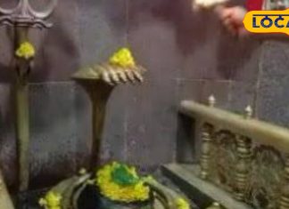 जंगल के बीचोबीच..आम पेड़ के नीचे प्रकटे महादेव, आदिवासी मानते हैं रक्षक