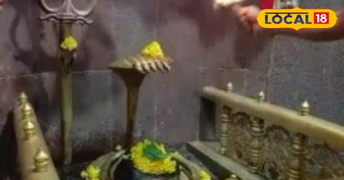 जंगल के बीचोबीच..आम पेड़ के नीचे प्रकटे महादेव, आदिवासी मानते