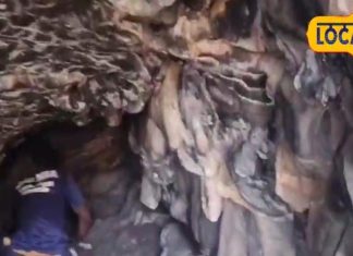 जमुई में मिली रहस्यमयी गुफा! लोगों ने टॉर्च से अंदर झांककर देखा तो फटी रह गईं आंखें, जानें क्या था?