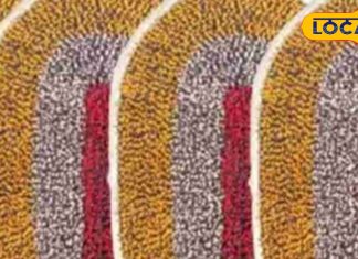 दिशा के हिसाब से रखें गेट पर पायदान, धन-संपदा का होगा लाभ…घर में रहेगी शांति