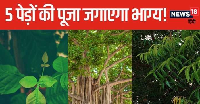 नौकरी में बनेंगे प्रमोशन के योग, कई बीमारियों से भी