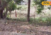 महराजगंज में इस जगह से निकला था पंचमुखी नाग, आज भी मौजूद हैं साक्ष्य