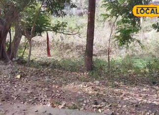 महराजगंज में इस जगह से निकला था पंचमुखी नाग, आज भी मौजूद हैं साक्ष्य