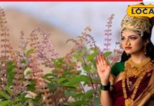 माघ महीने में तुलसी पूजा में न करें ये गलतियां, मां लक्ष्मी हो जाएंगी नाराज