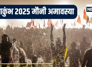 मौनी अमावस्या: अमृत स्नान में उमड़ा जन सैलाब, पाना है अनंत जन्मों का फल