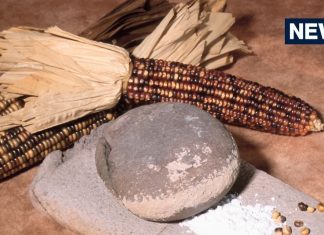 रसोई घर में करते हैं सिलबट्टे का इस्तेमाल? नमक के इस उपाय से बढ़ेगी सुख-समृद्धि, जानें इसे सही से रखने के वास्तु टिप्स